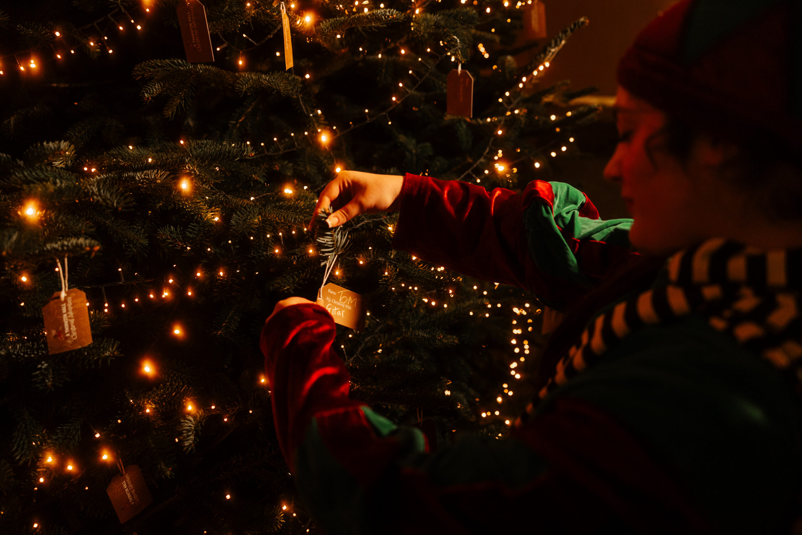 A magical Christmas elf hanging a Childs Christmas wish onto a giant tree.